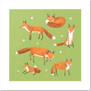 Red Foxes Posters and Art